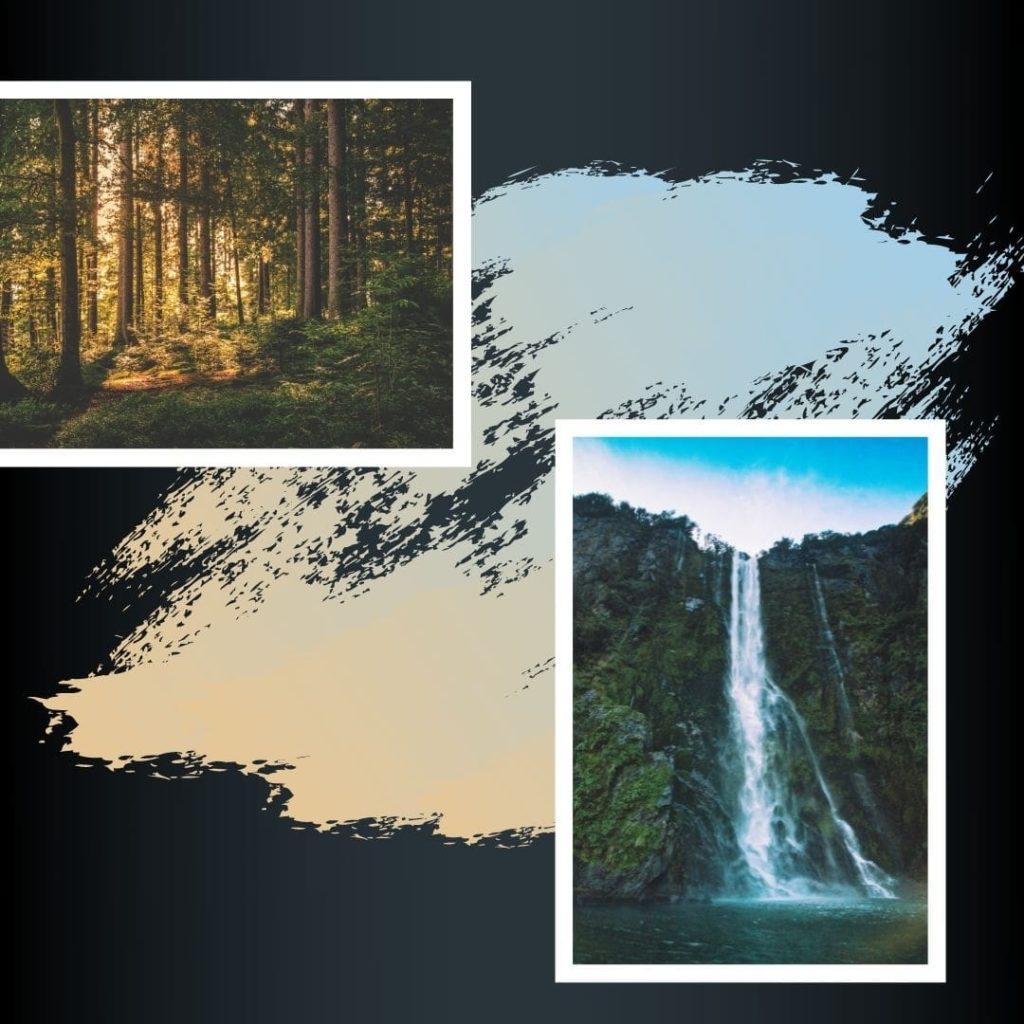 post instagram 3 cascade et foret