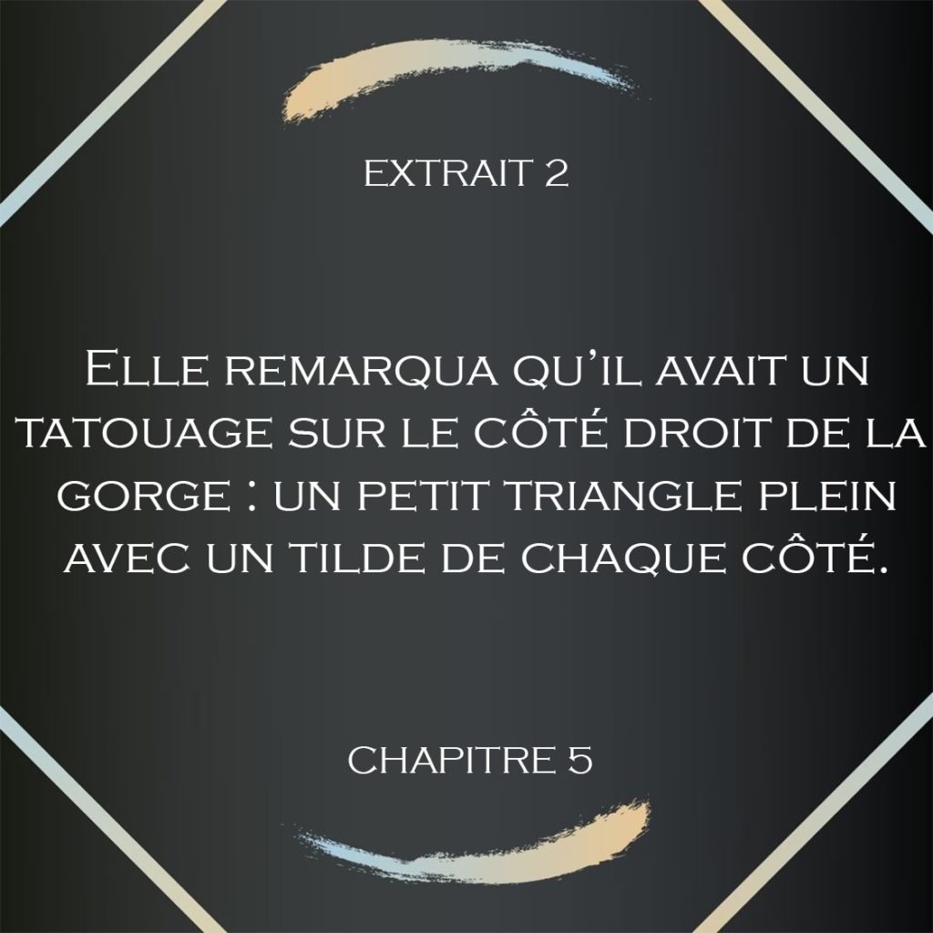 extrait 2 roman elements