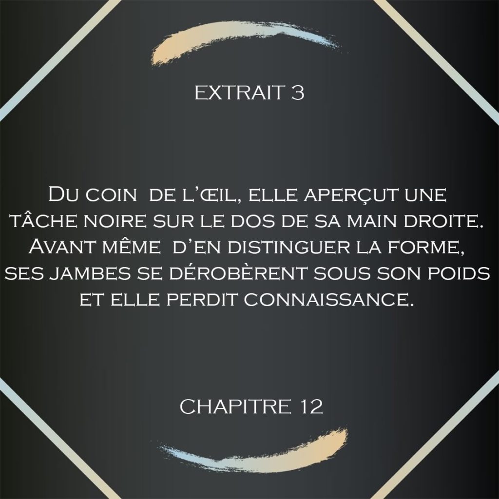 extrait 3 roman elements